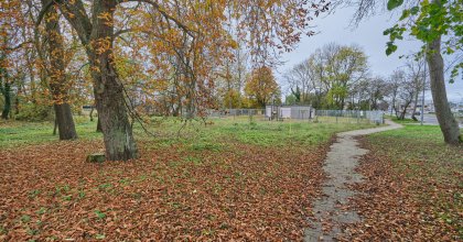 ul. Koszalińska, CMENTARZ ŻYDOWSKI (wez) (7)