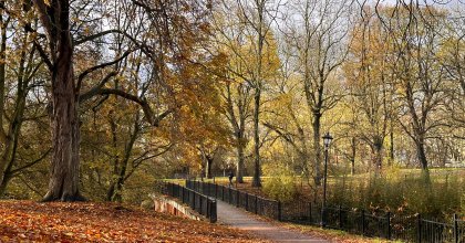 park Dąbrowskiego2023 (14)