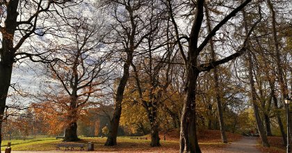 park Dąbrowskiego2023 (6)