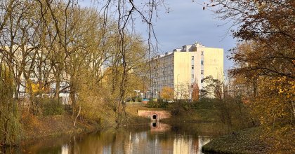 park Dąbrowskiego2023 (7)