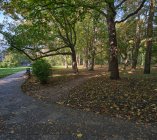 park-im-stefana-zeromskiego