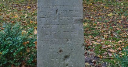 ul. Zdrojowa, CMENTARZ ŻYDOWSKI-LAPIDARIUM (wez) (8)
