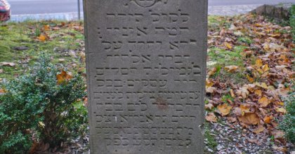 ul. Zdrojowa, CMENTARZ ŻYDOWSKI-LAPIDARIUM (wez) (10)