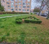 ul. Źródlana 2-3, ŹRÓDŁO-SOLANKI (rej) (2)